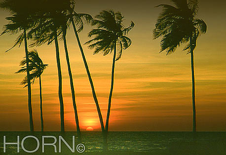 SUNSET-128