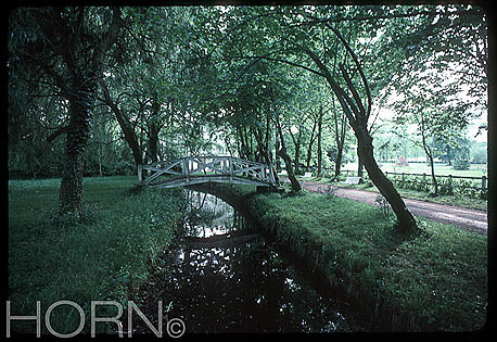 TREES-104