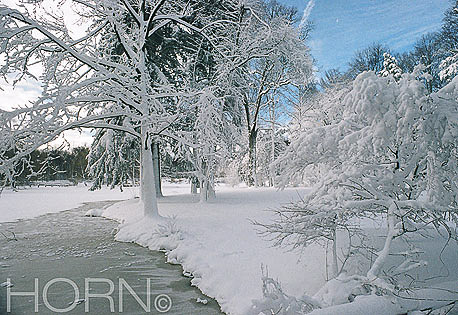 WINTER-101
