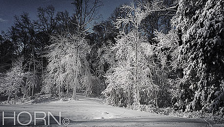 WINTER-106