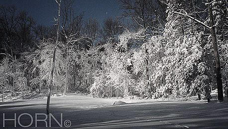 WINTER-107