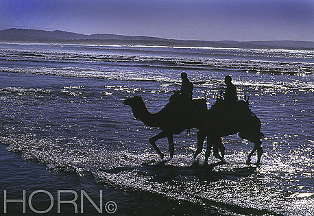 MOROCCO-124