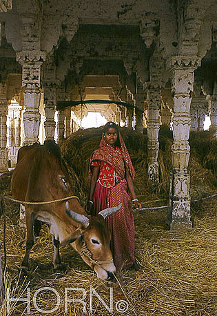 INDIA-105