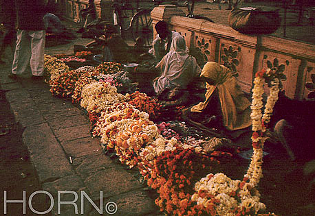 INDIA-157