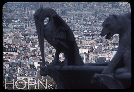 FRANCE-109