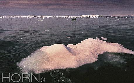 GREENLAND-116