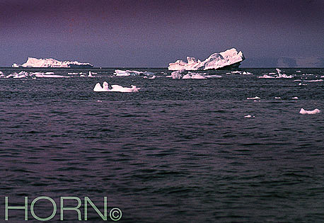 GREENLAND-118