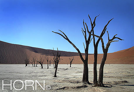 TREES-152