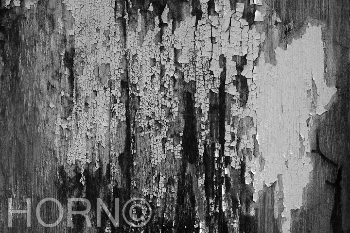 WALL_169